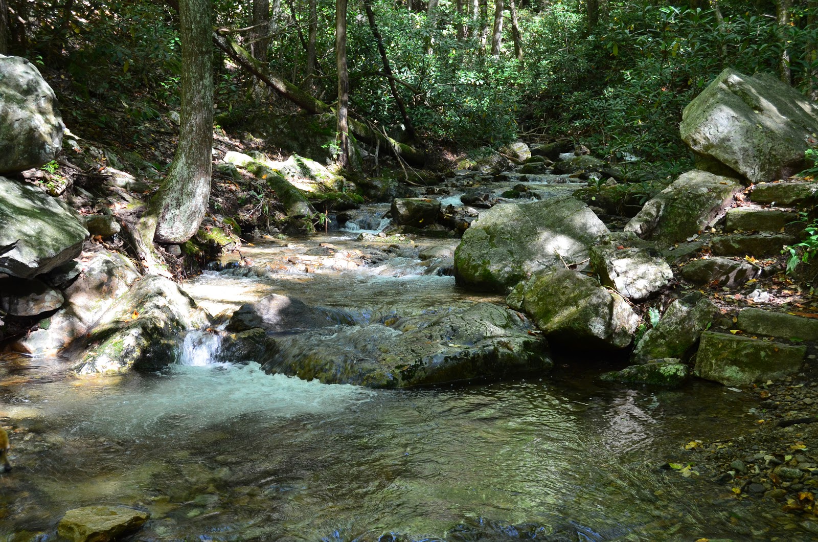 Rock Creek Recreation Area
