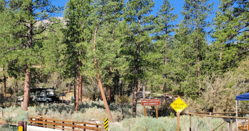 Kyle Canyon Campground