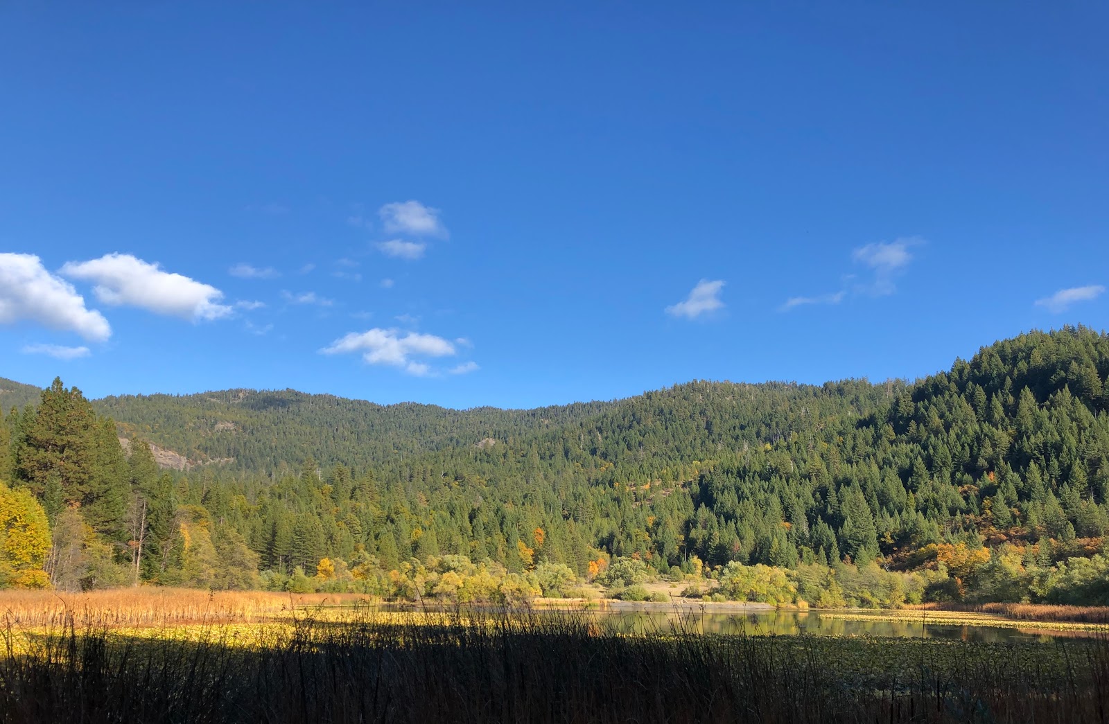 Howard Lake Campground