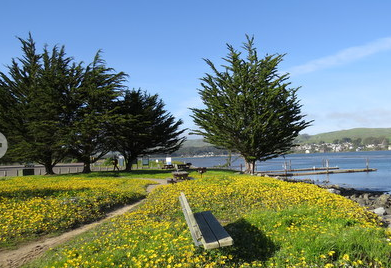 West Side Park/Campground