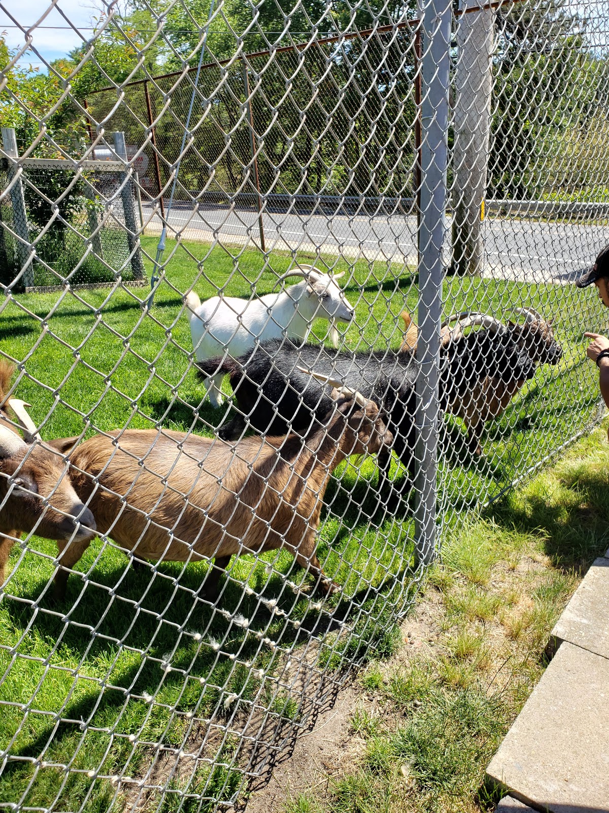 Ellis Haven Family Campground