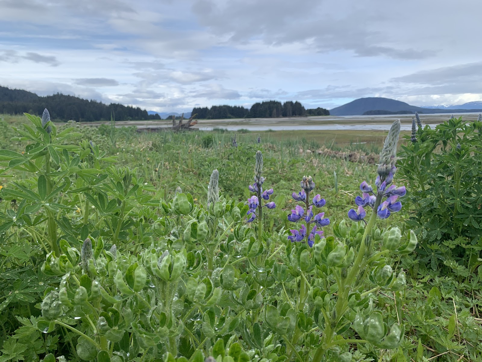 Eagle Beach State Recreation Site