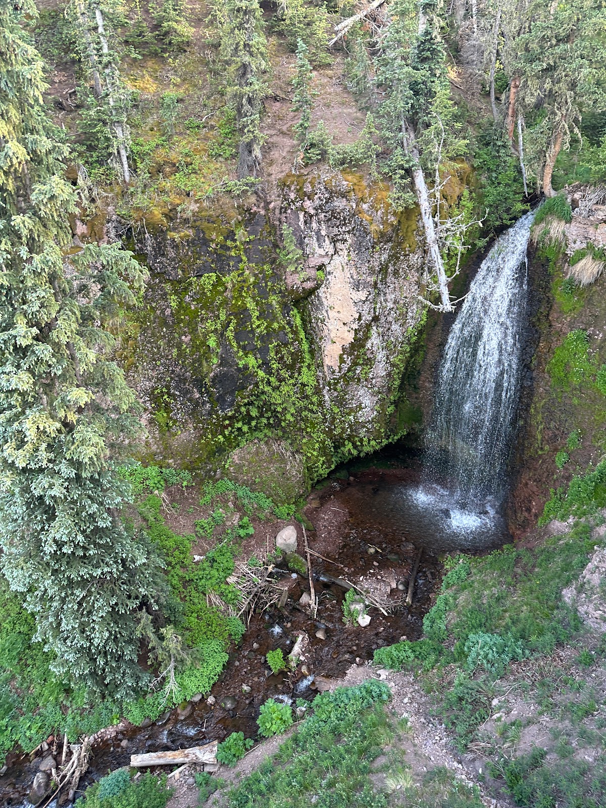Trujillo Meadows Campground