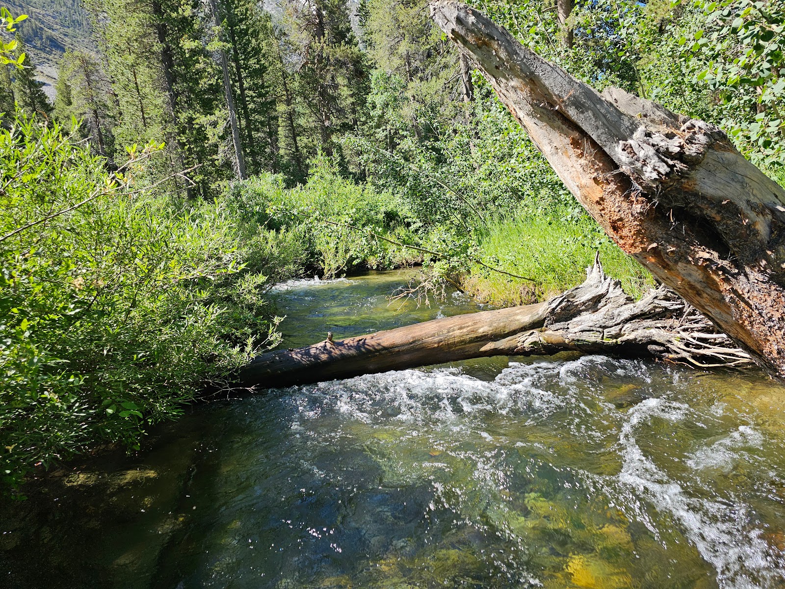 Green Creek Campground