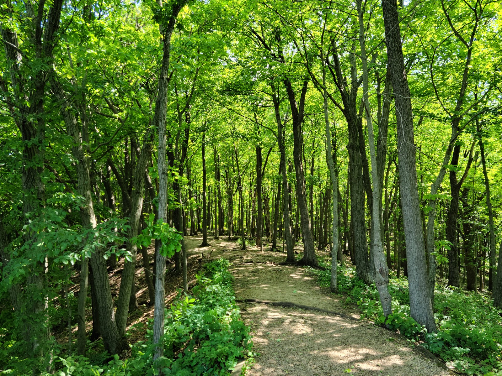 Great River Bluffs State Park