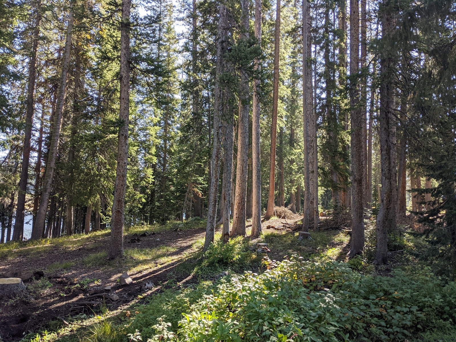Big Creek Campground