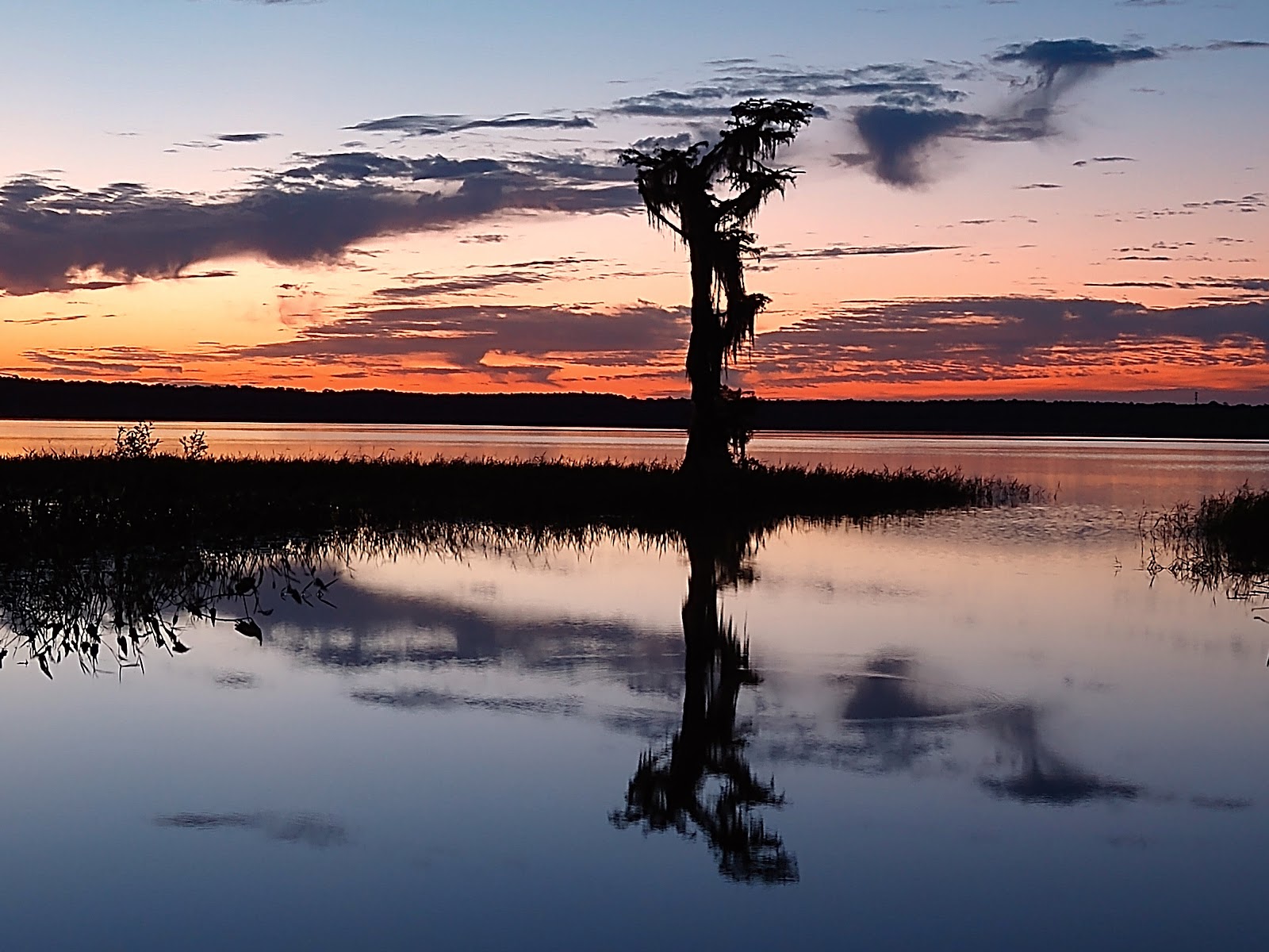 Hog Pen NF Hunt Camp