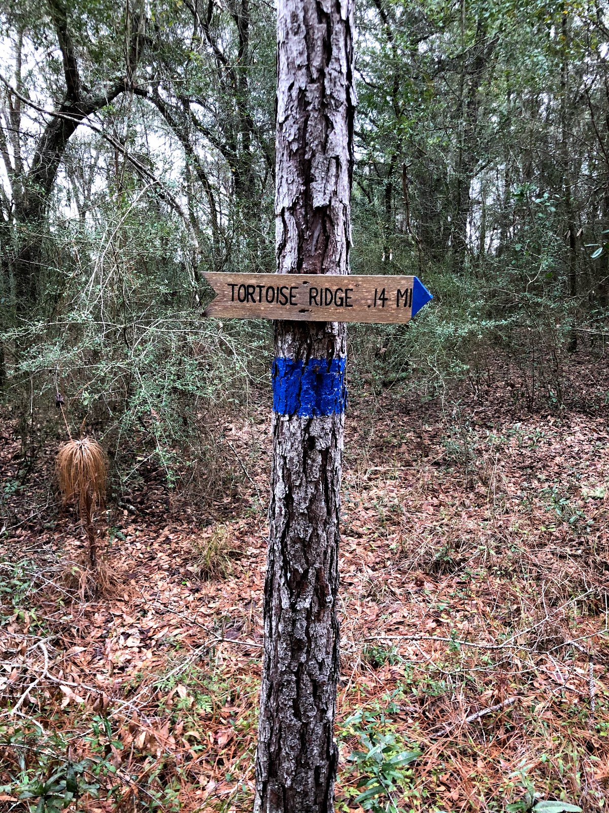 Azalea Acres RV Park