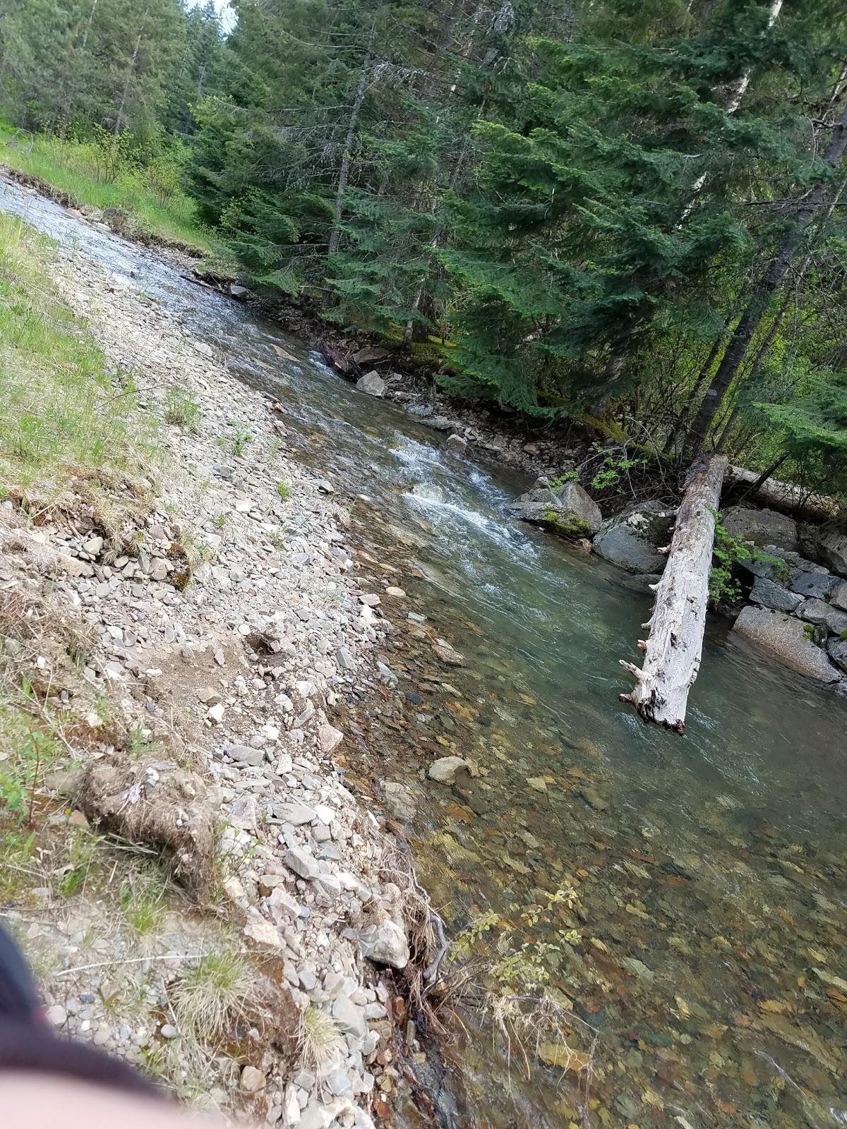Beauty Creek Campground