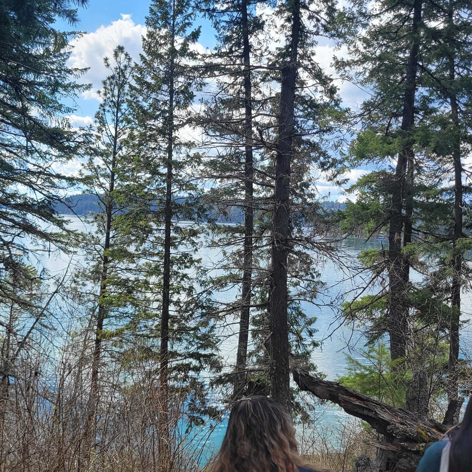 Lake Creek Campground