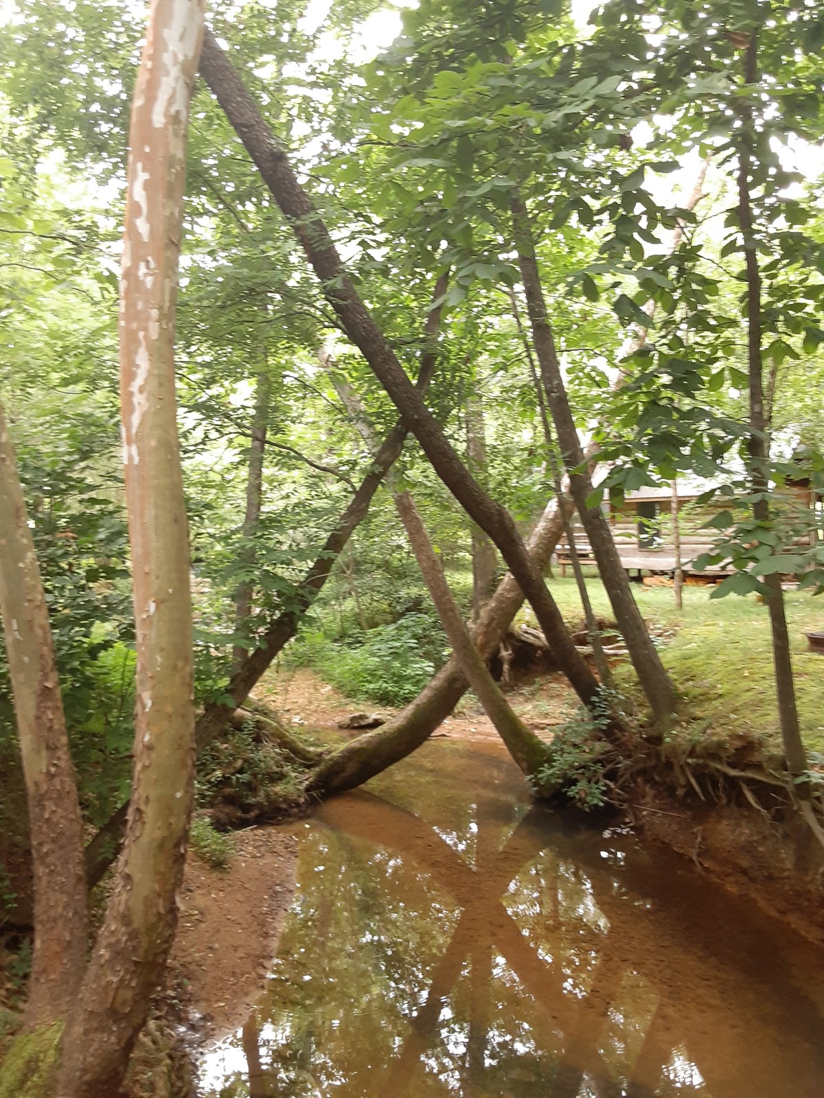 Pikes Peak Campground