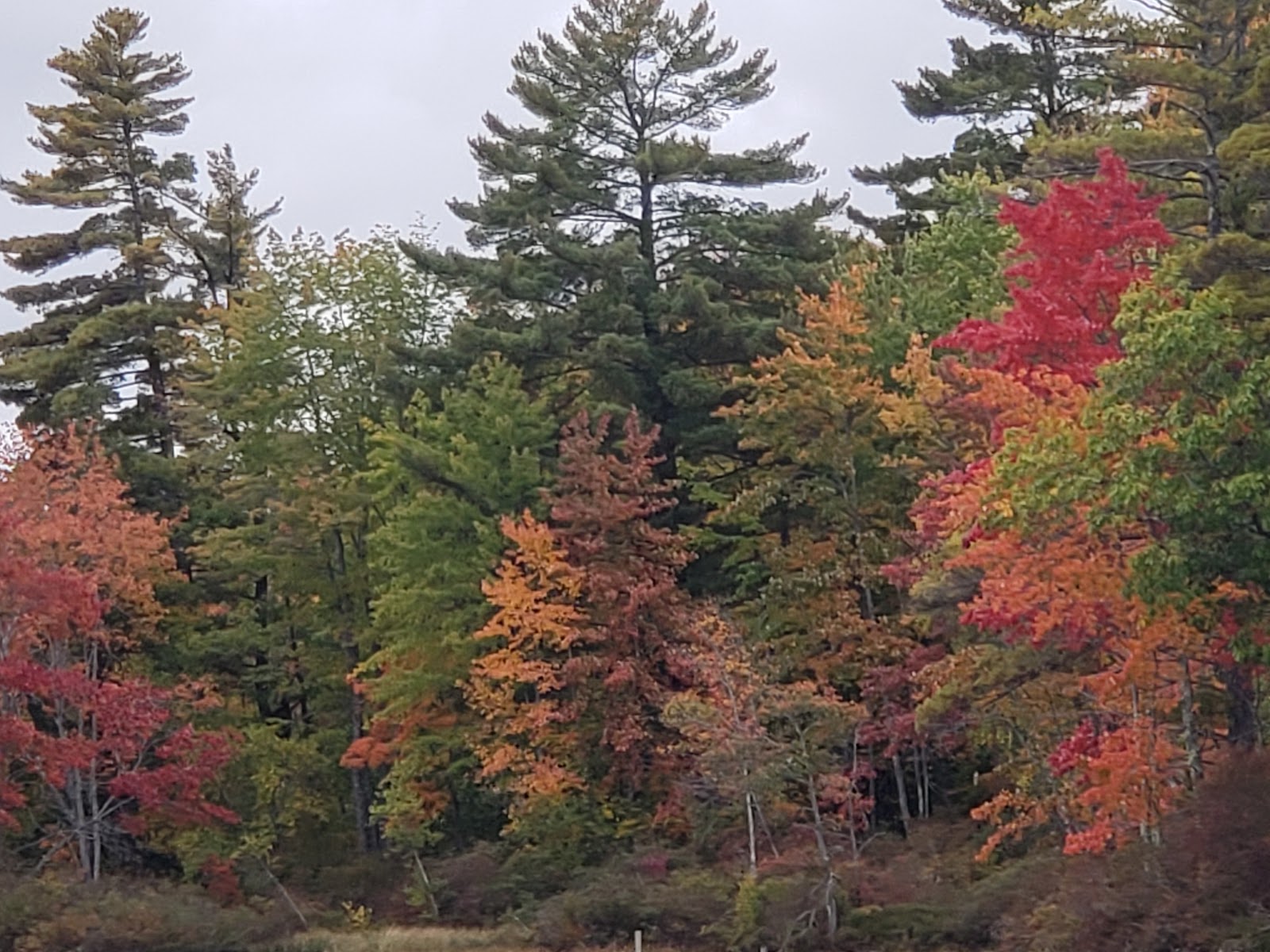 Colonial Mast On Long Lake