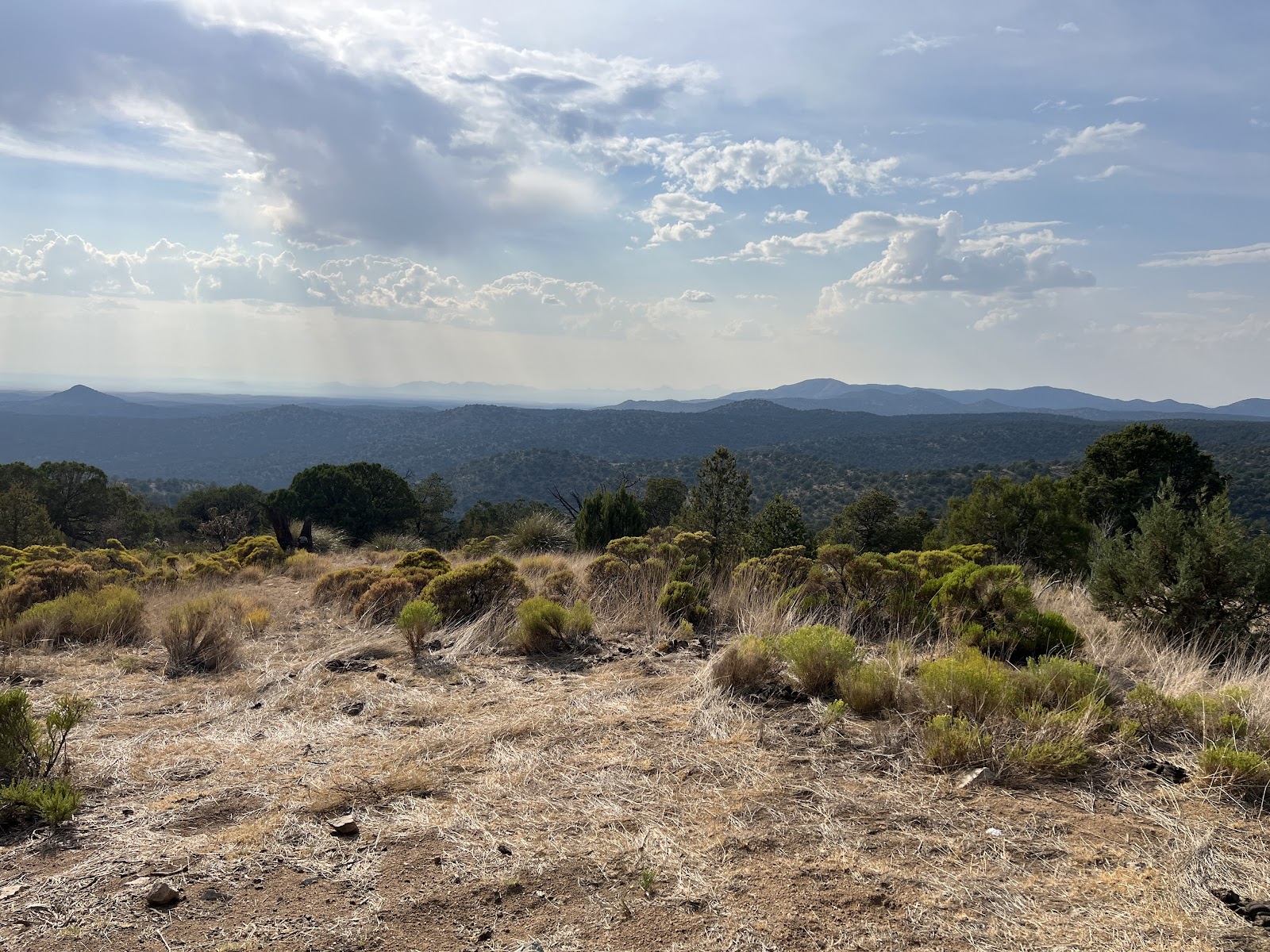 Burro Mountain Homestead - Southwestern Camper Ranches, Inc.