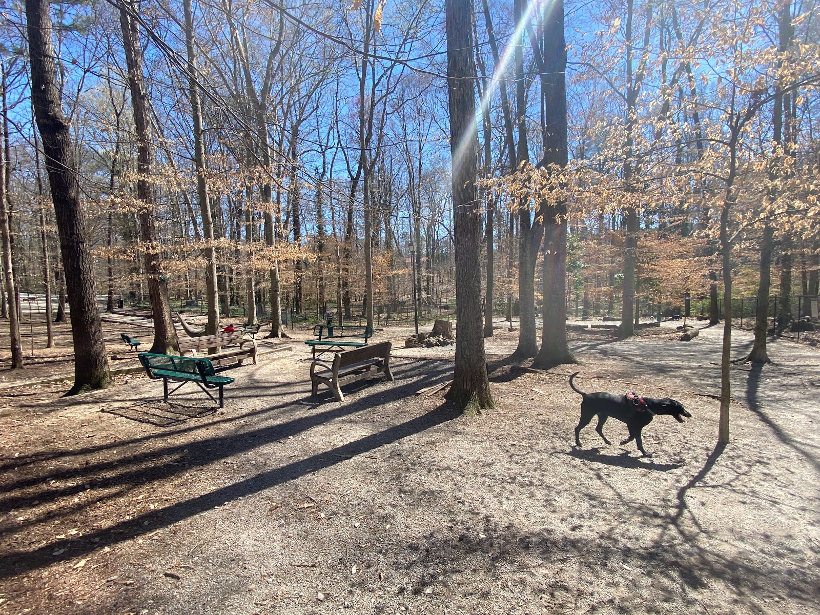 Brook Run Dog Park