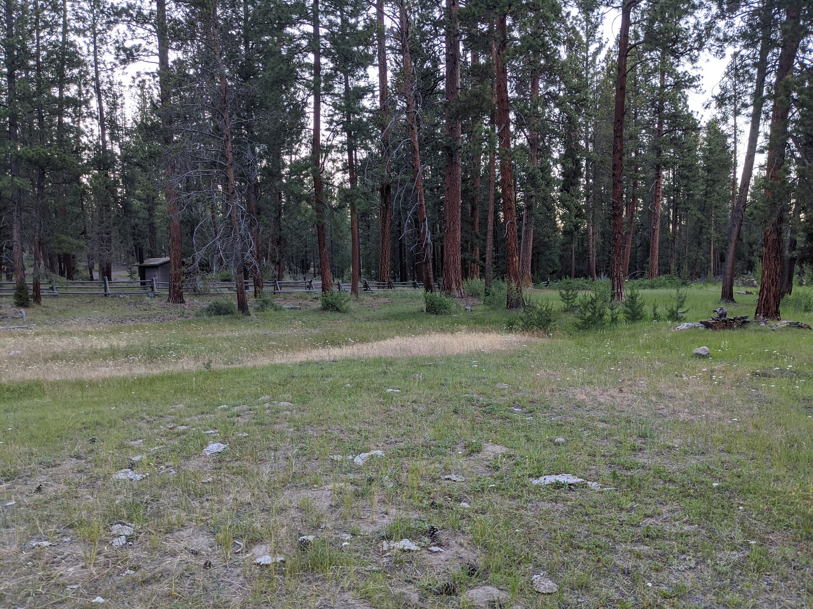 Lower Buck Creek Forest Camp