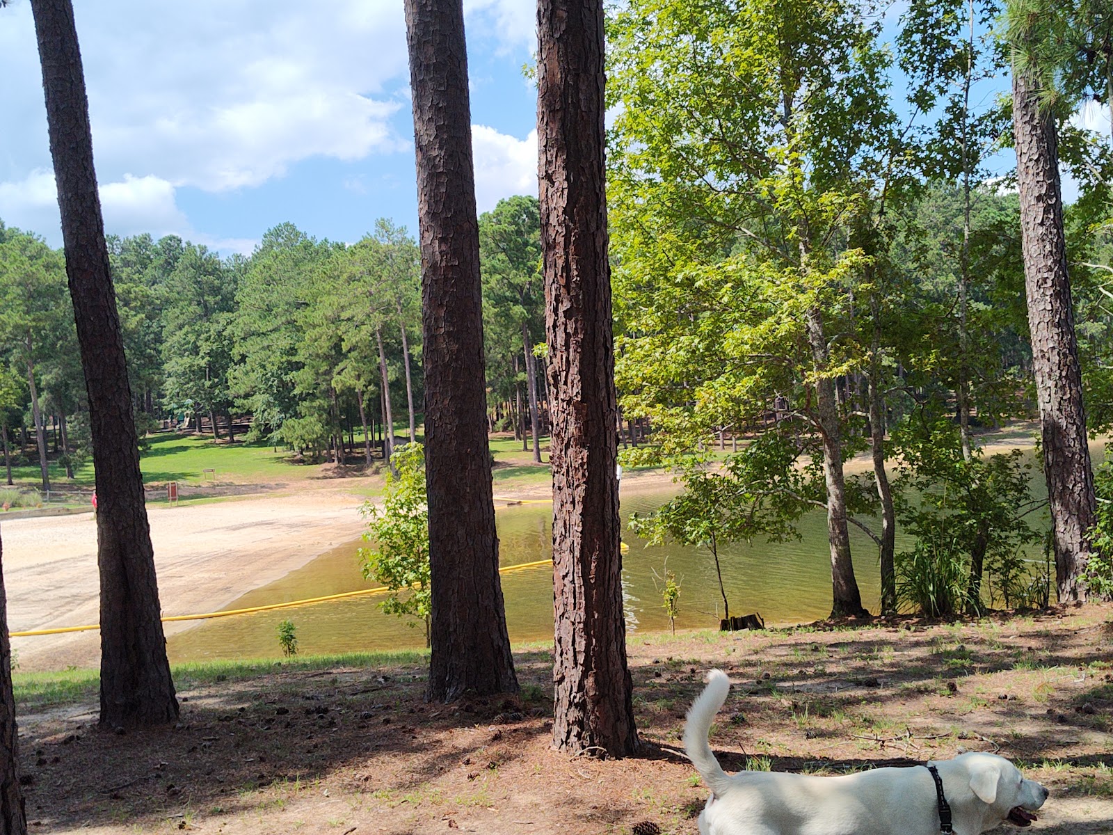 Mistletoe State Park