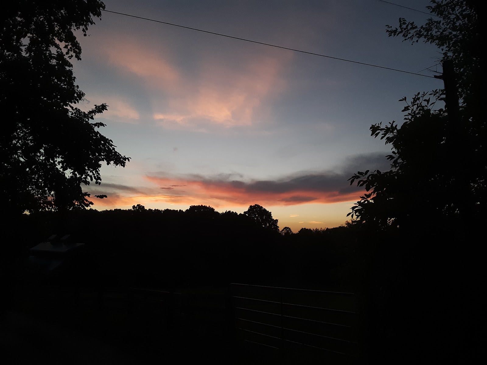 Youngs Creek Horse Camp