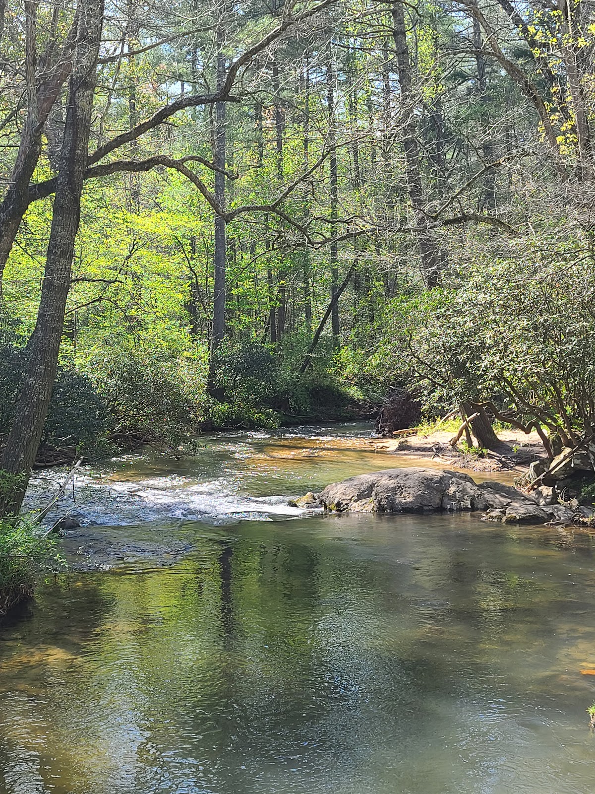 Deep Hole NF Campground