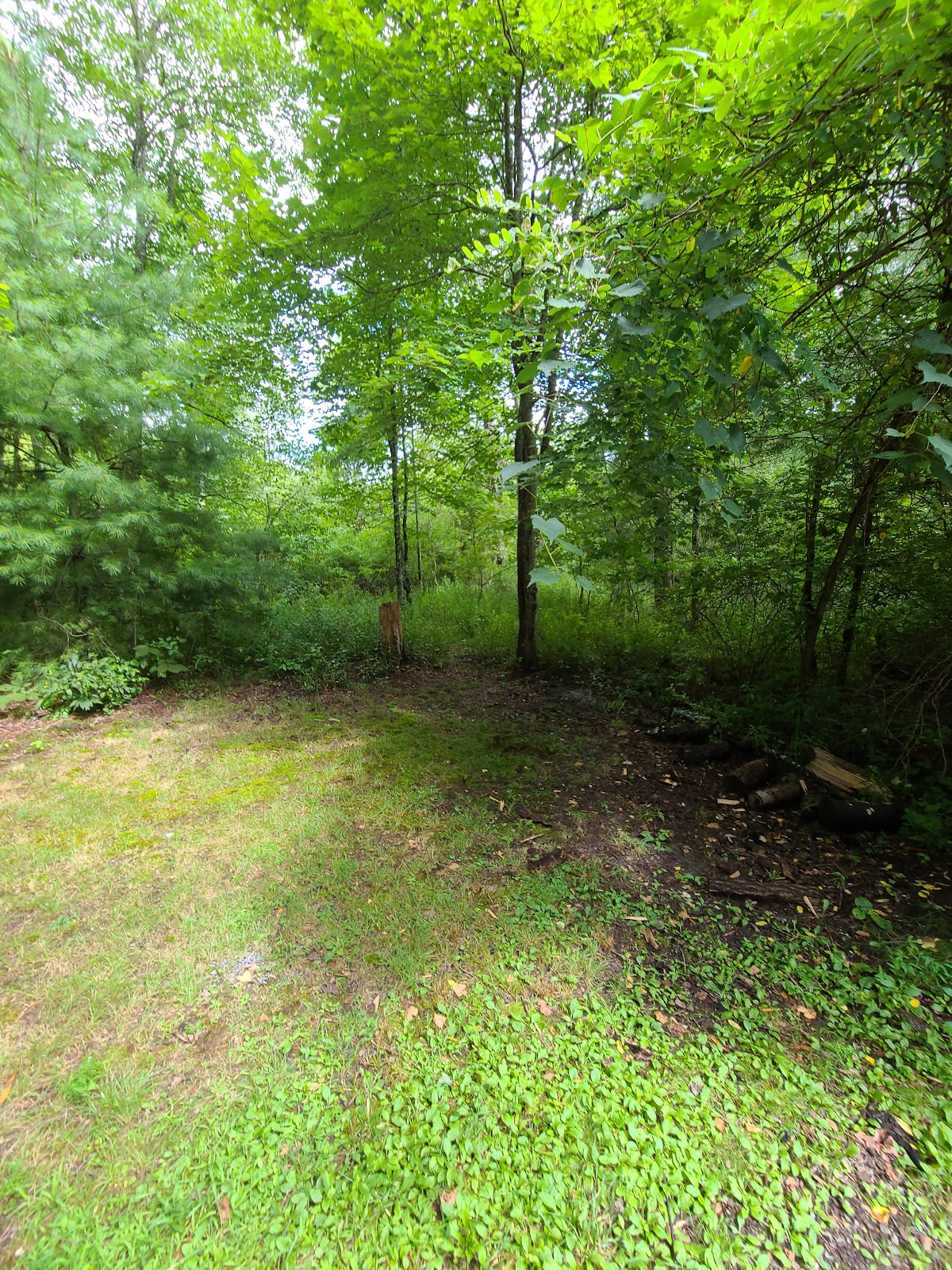 Highway 52 Campground