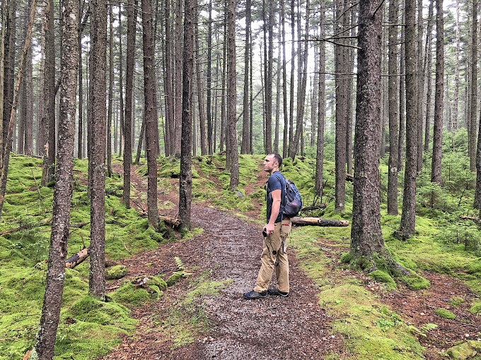 Monongahela National Forest
