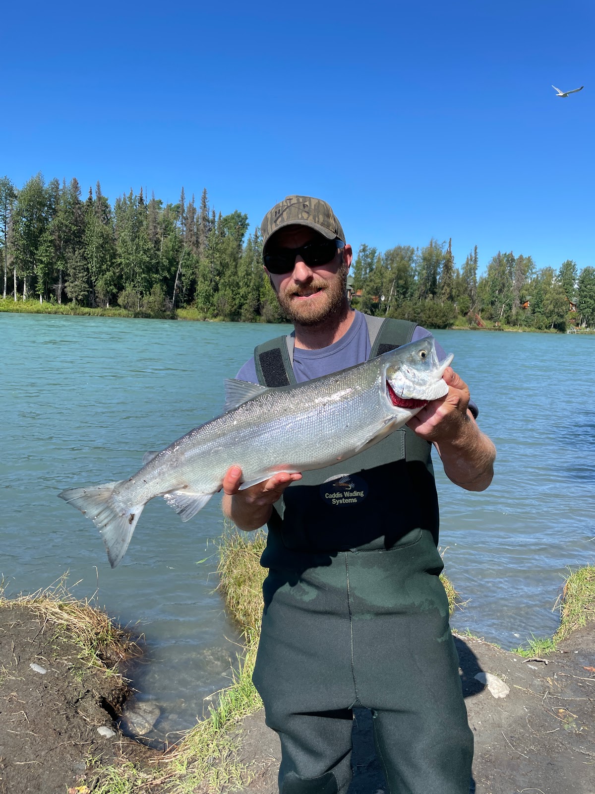 Klondike RV Park & Cabins