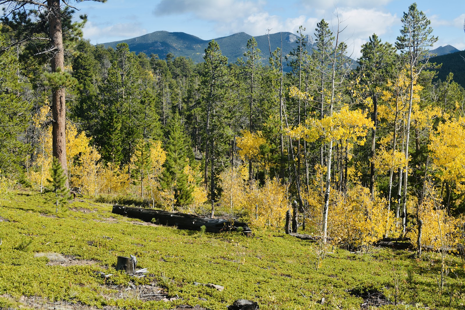 Kelly Dahl Campground