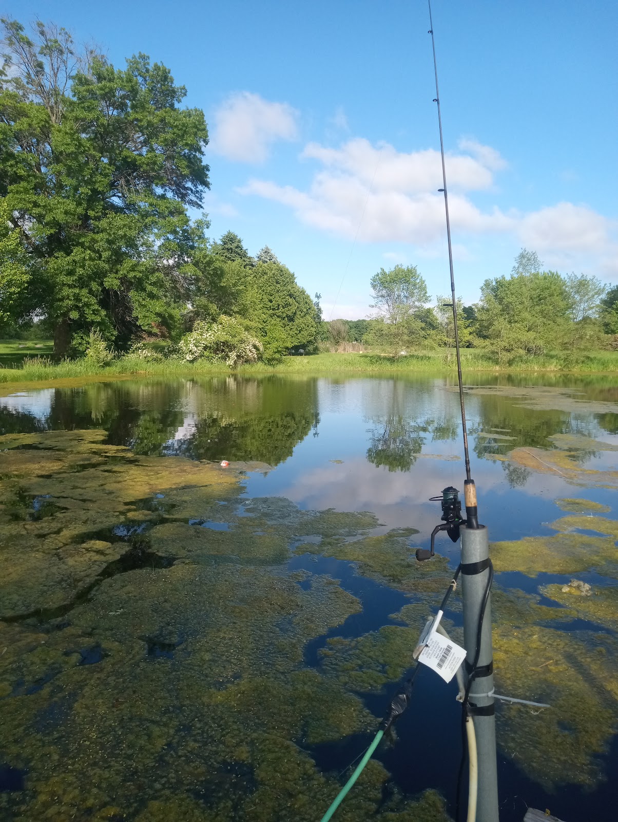 CassidyÂŒÃ‡s Motel and RV Park