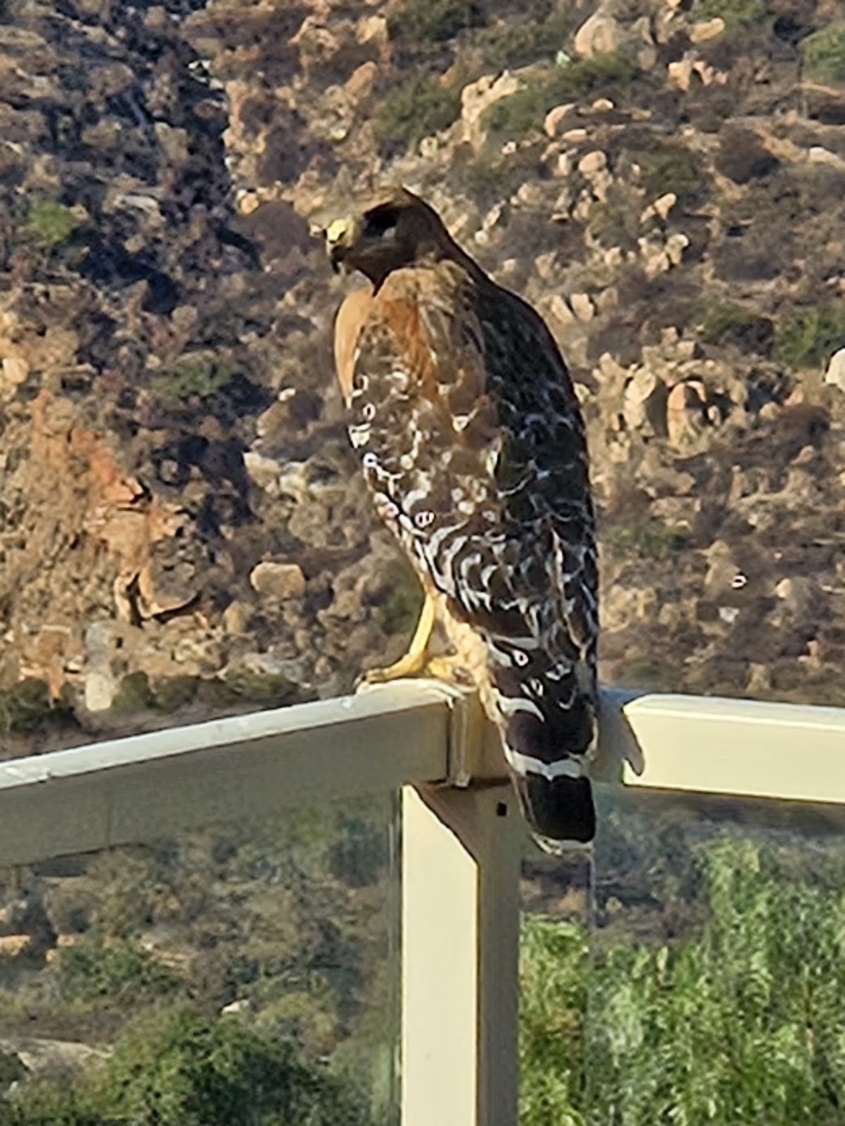 Mission Trails Regional Park Visitor's Center