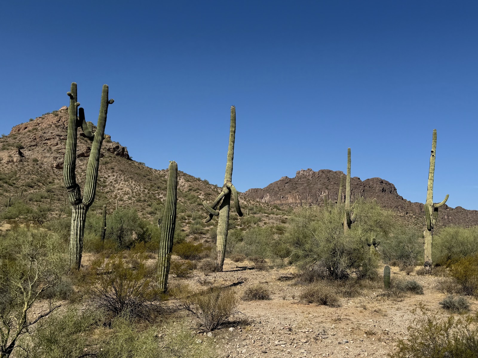 San Tan Mountain Regional Park