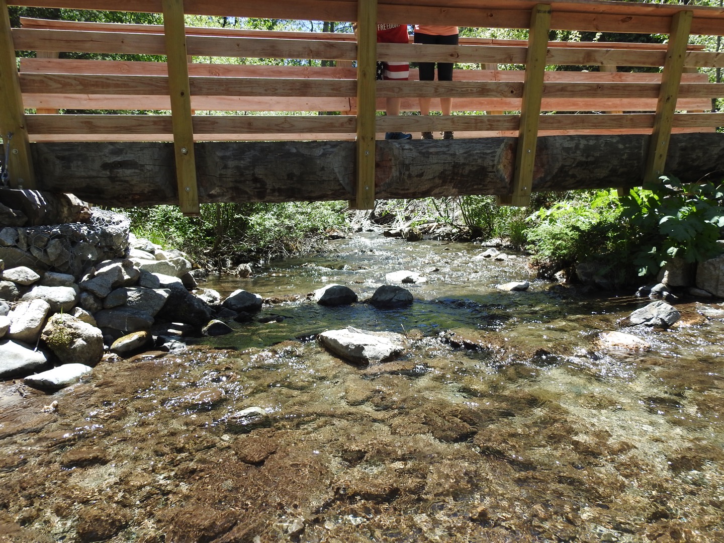 Columbine Campground