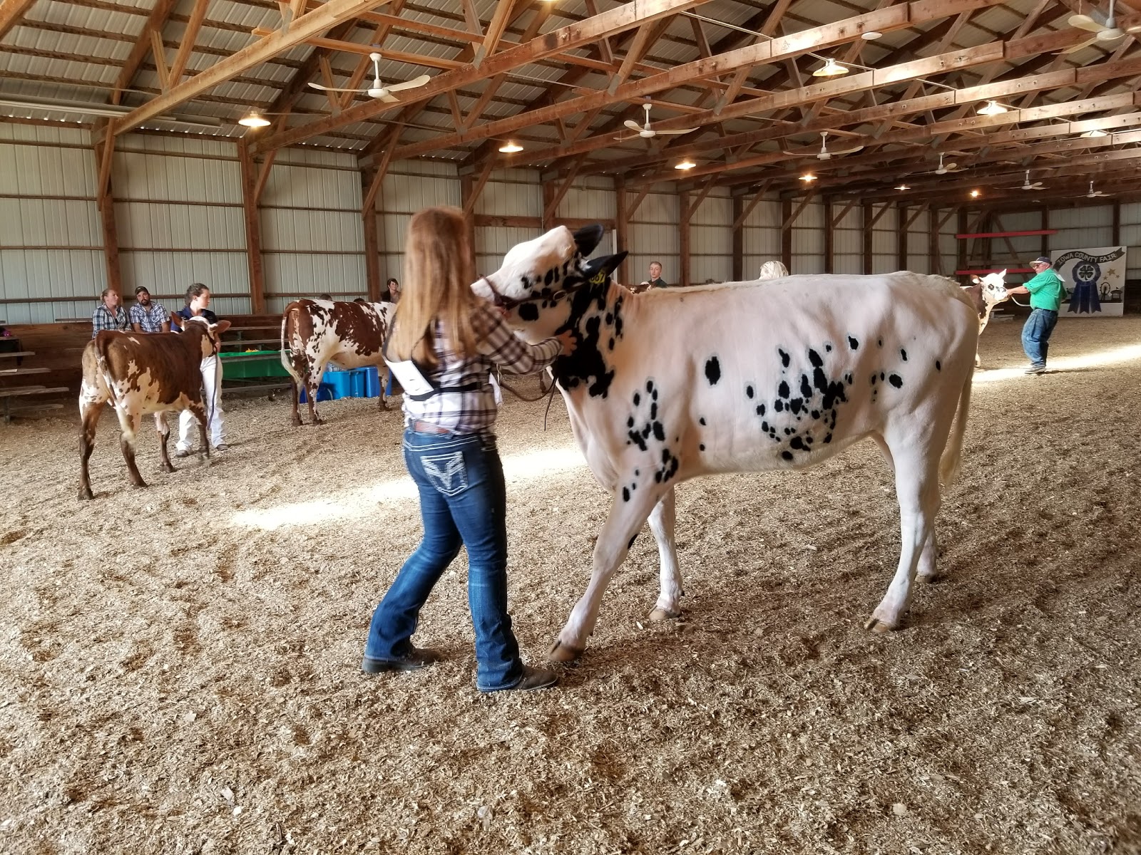 Iowa County Fairgrounds