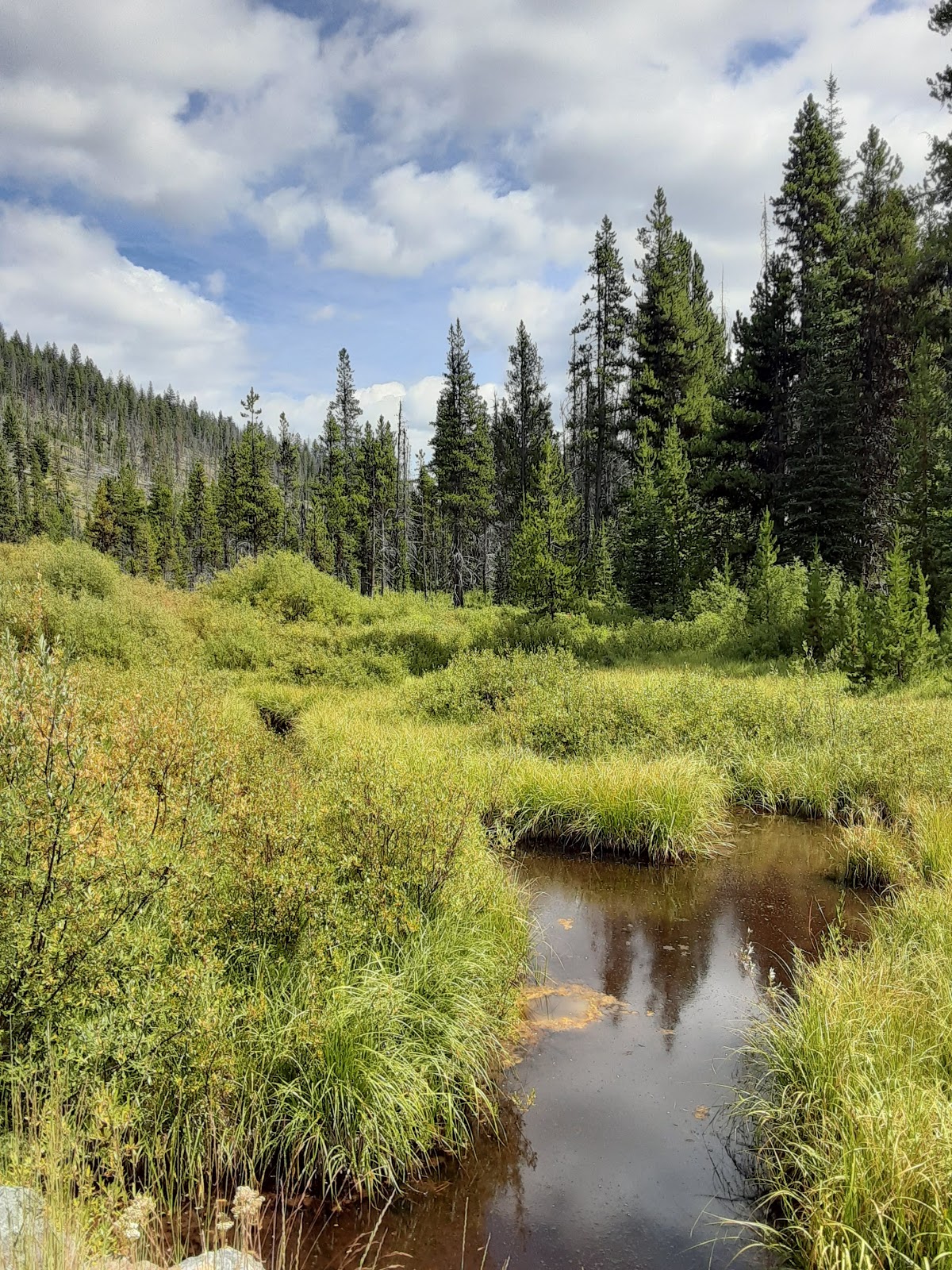 Long Swamp Campground