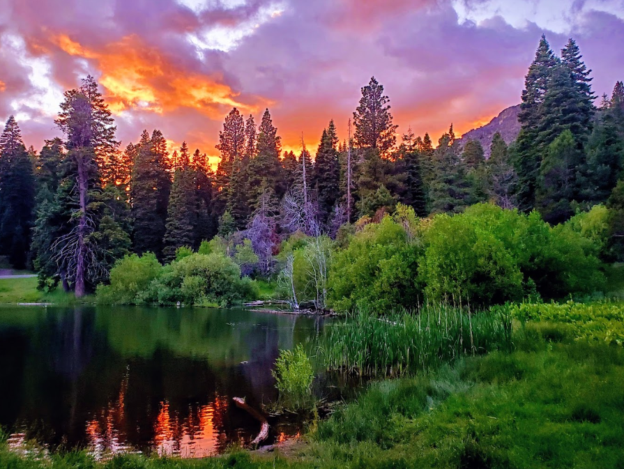 Stough Reservoir Campground