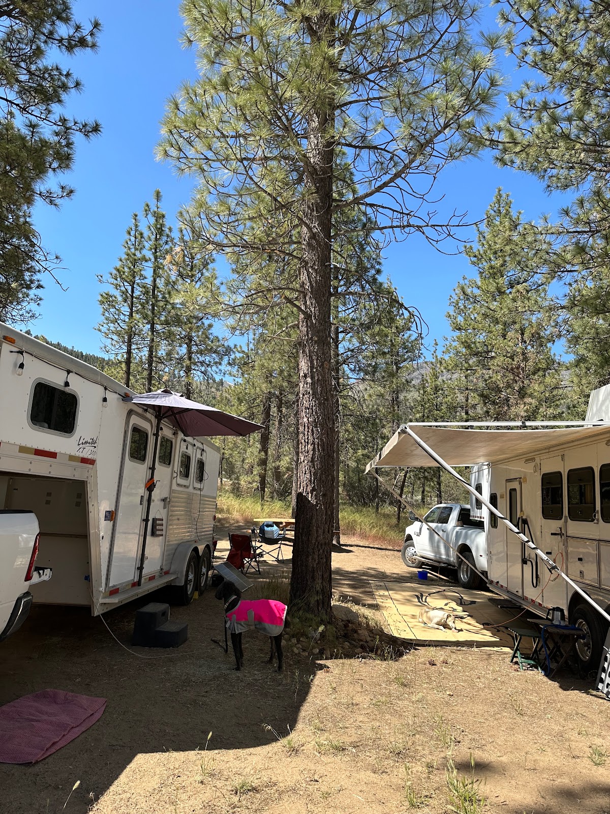Wild Horse Equestrian Campground