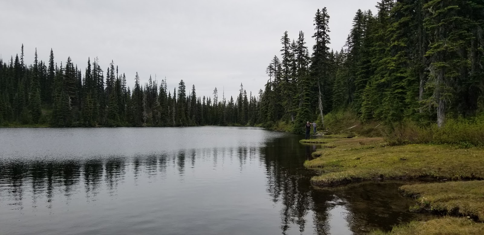 Cayuse Horse Campground