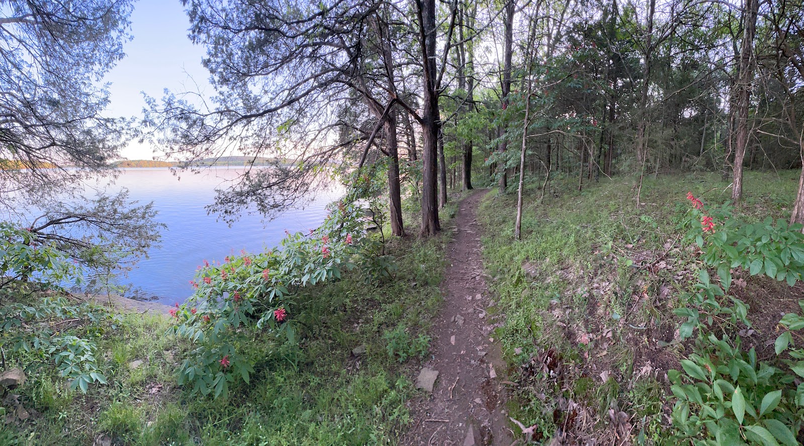 Ouita Coal Company Trail