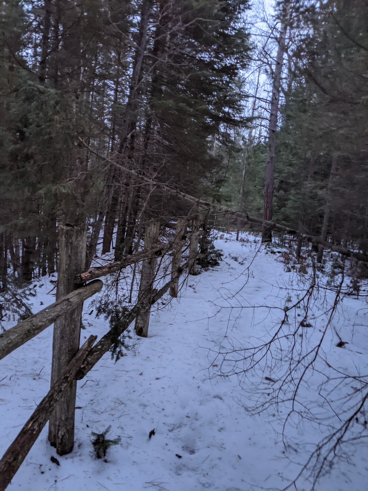 Keystone Landing SF Campground