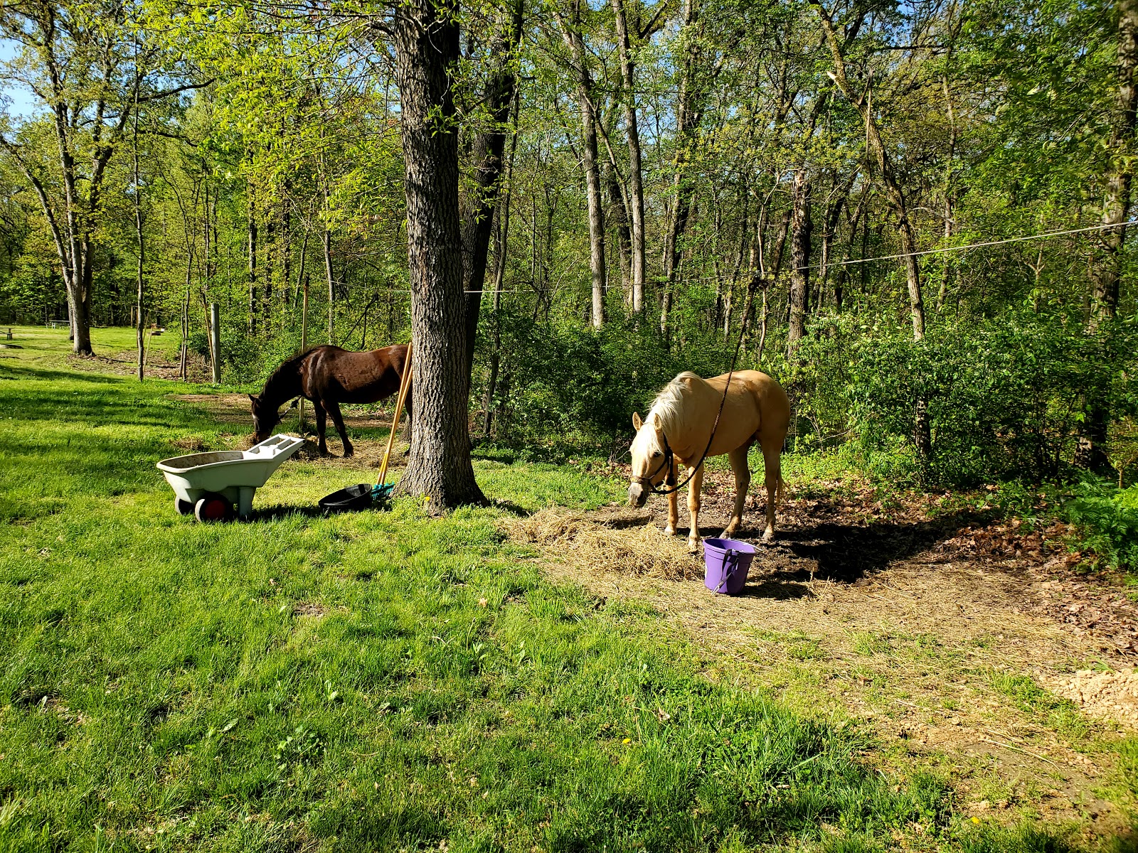 Blake Lowry Campground at Lake Lou Yaeger