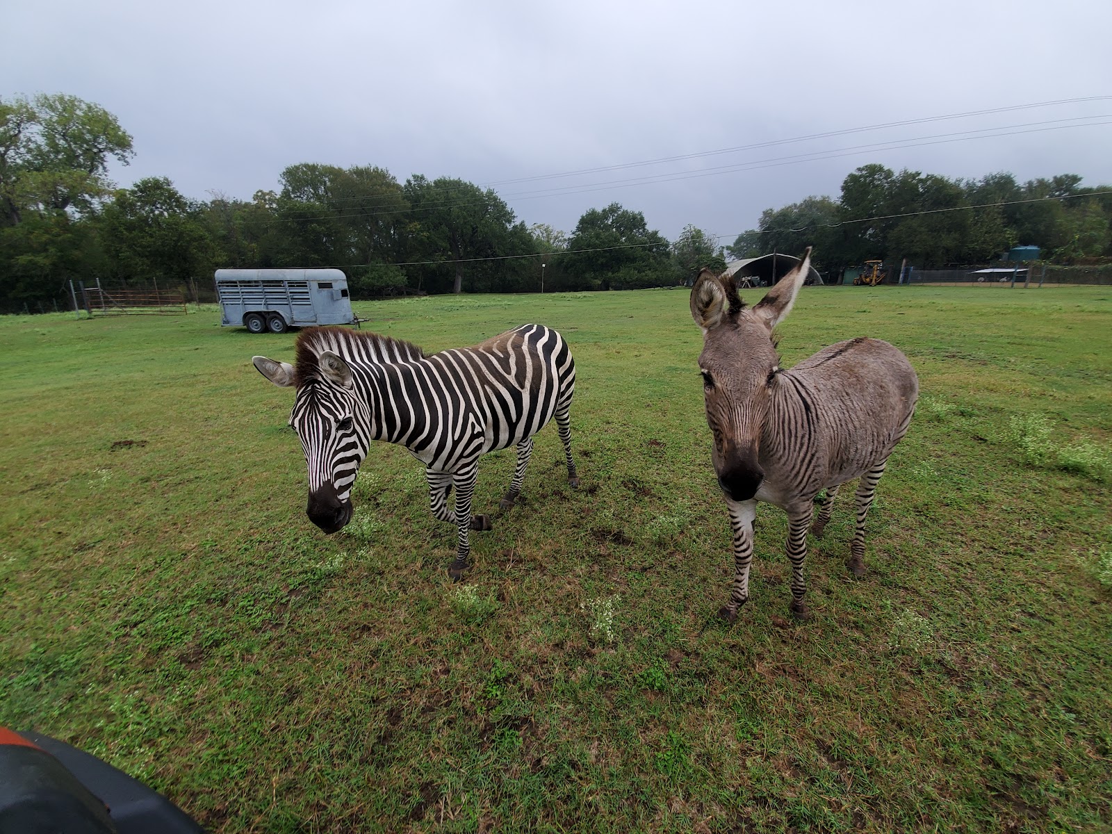 Indian Springs Ranch