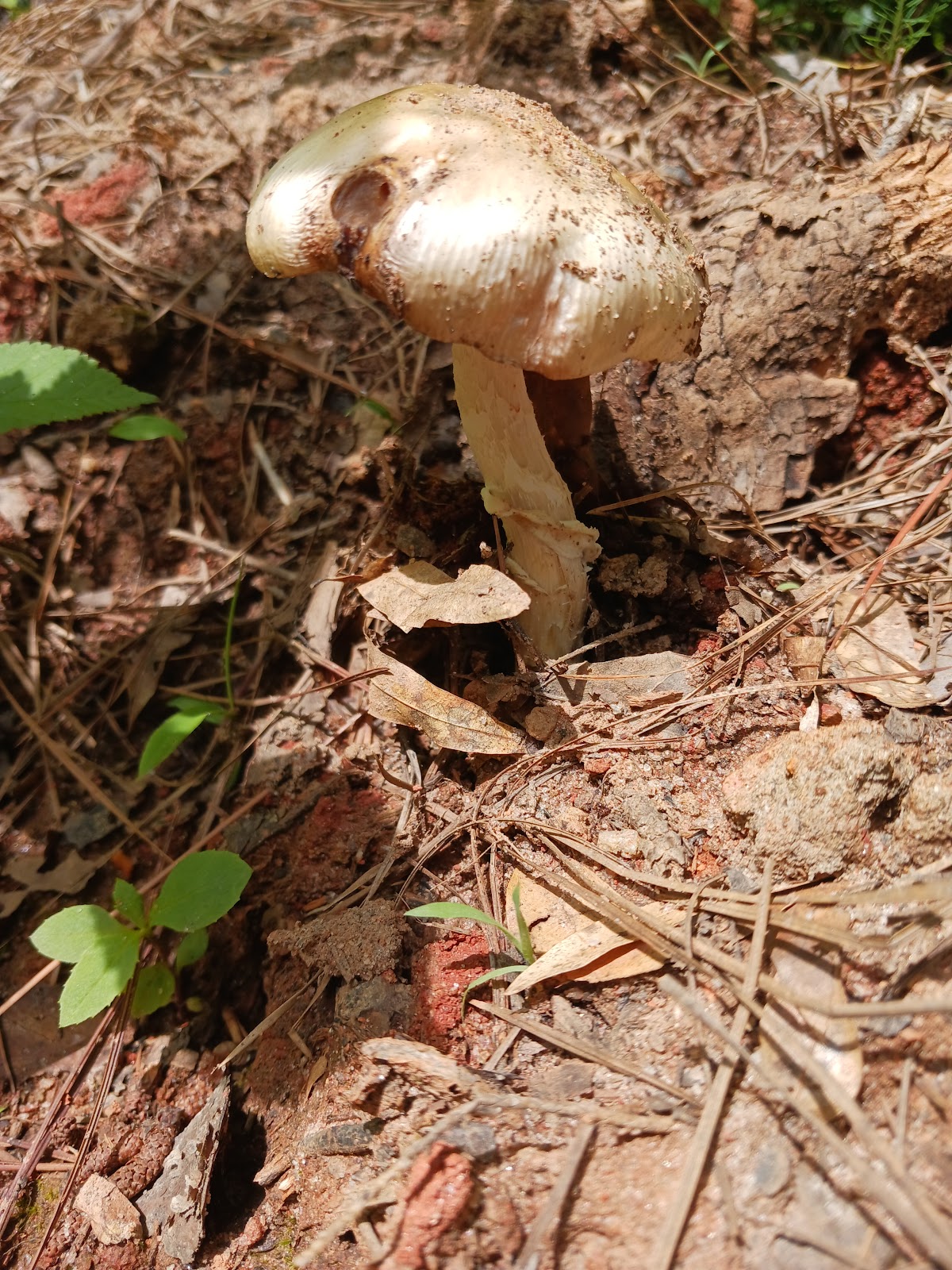 Fell Hunt Campground