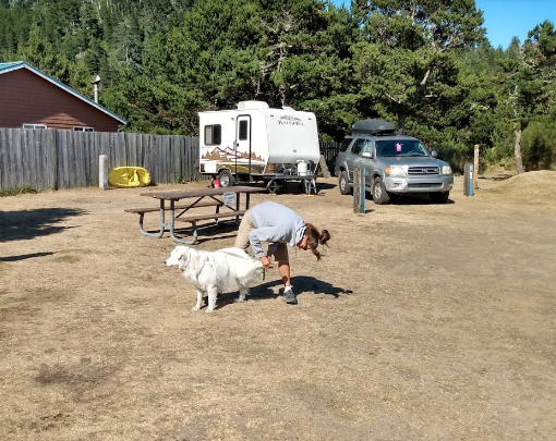 Webb County Campground