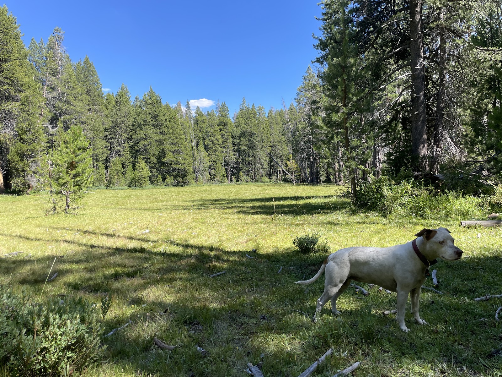Sample Meadow Campground