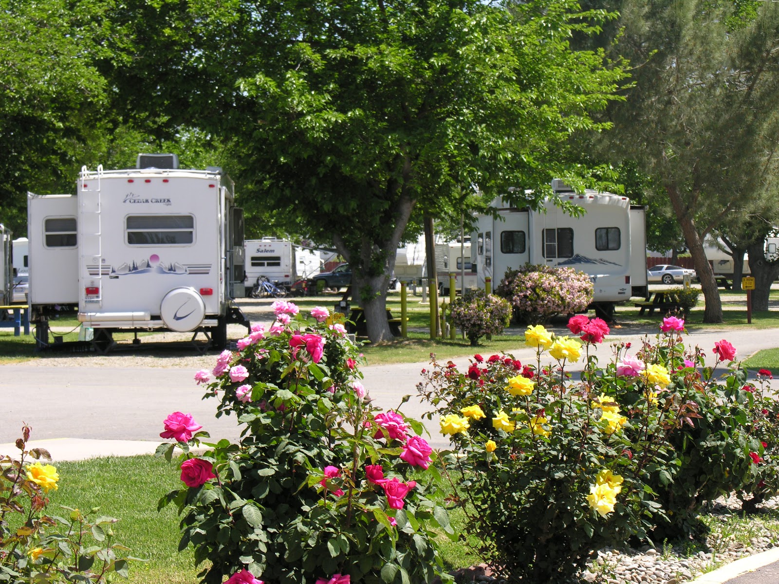 Visalia/Fresno South KOA