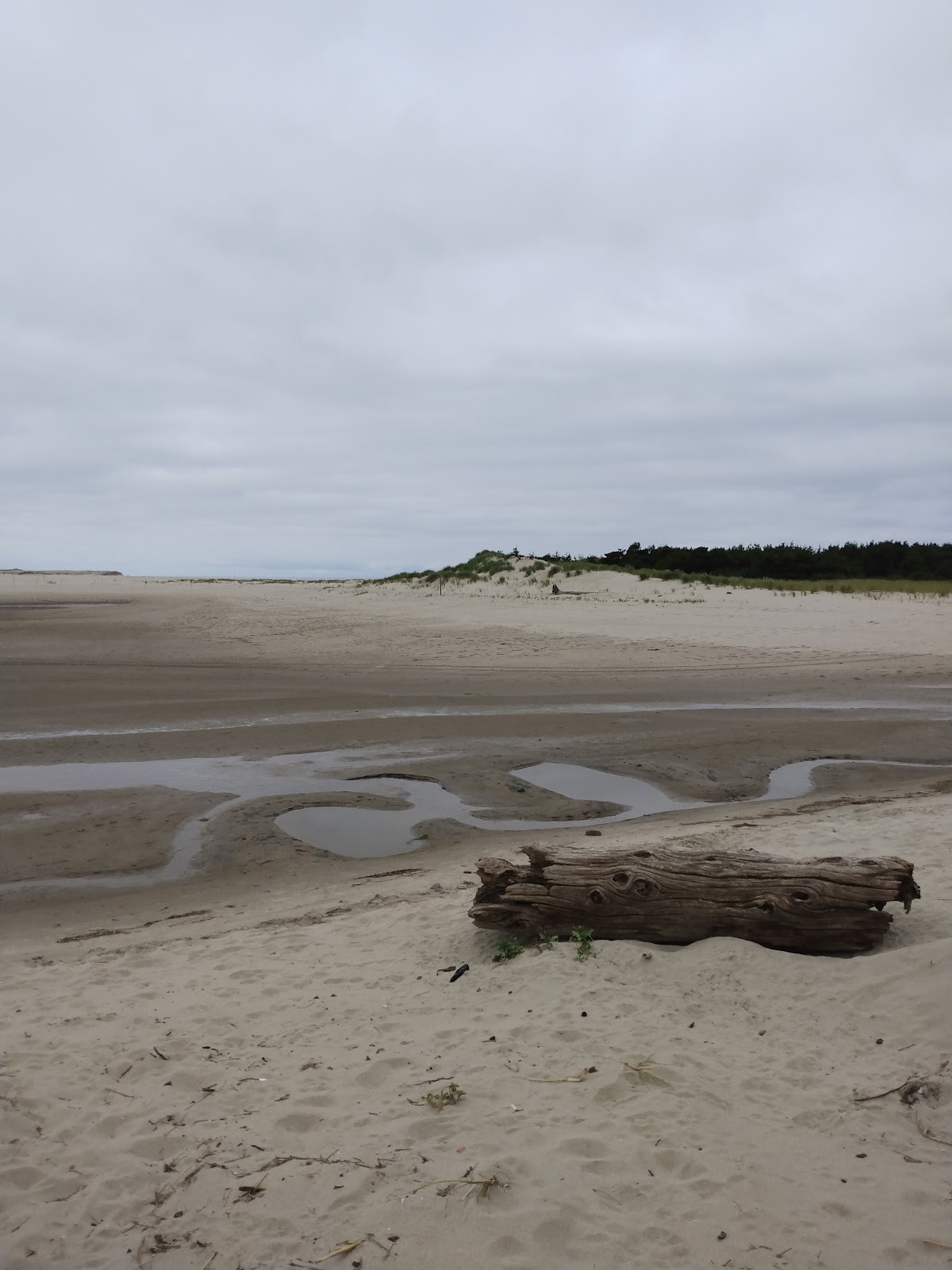 Sandbeach Campground