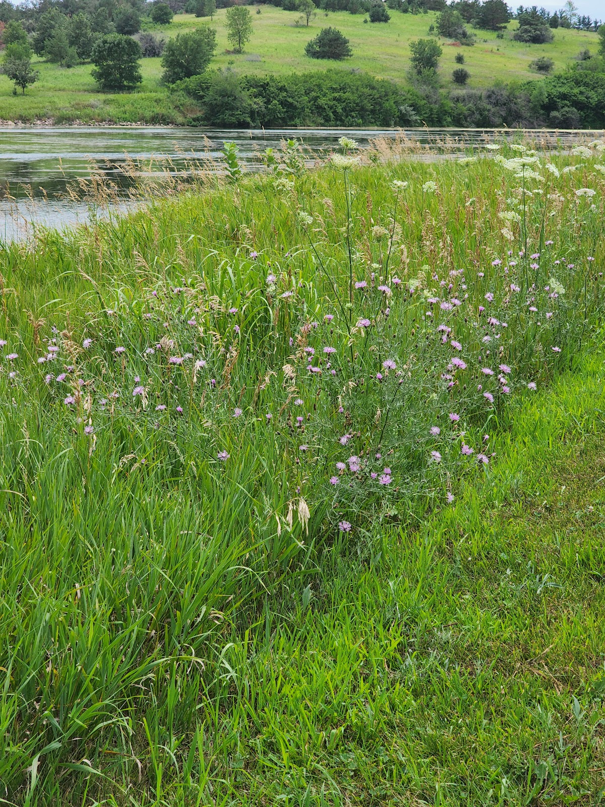 Crawford Creek County Rec Area