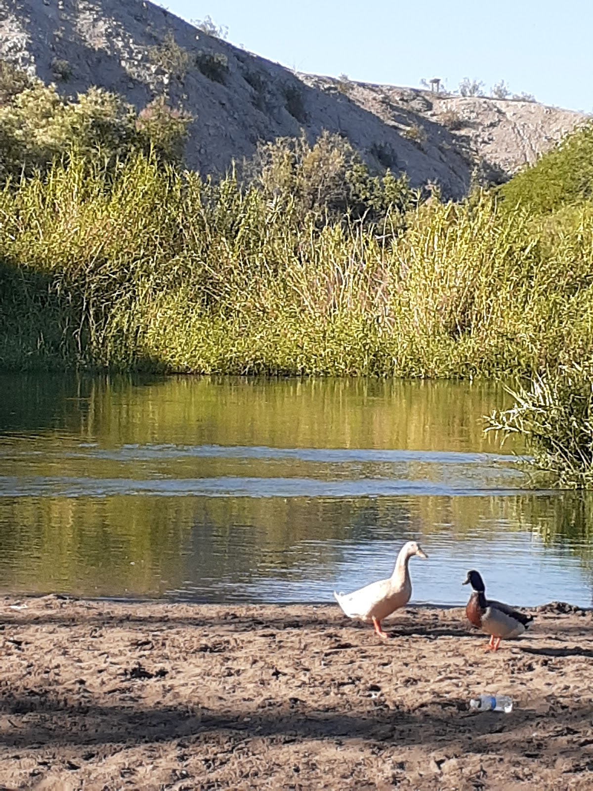 Rivers Edge RV Resort