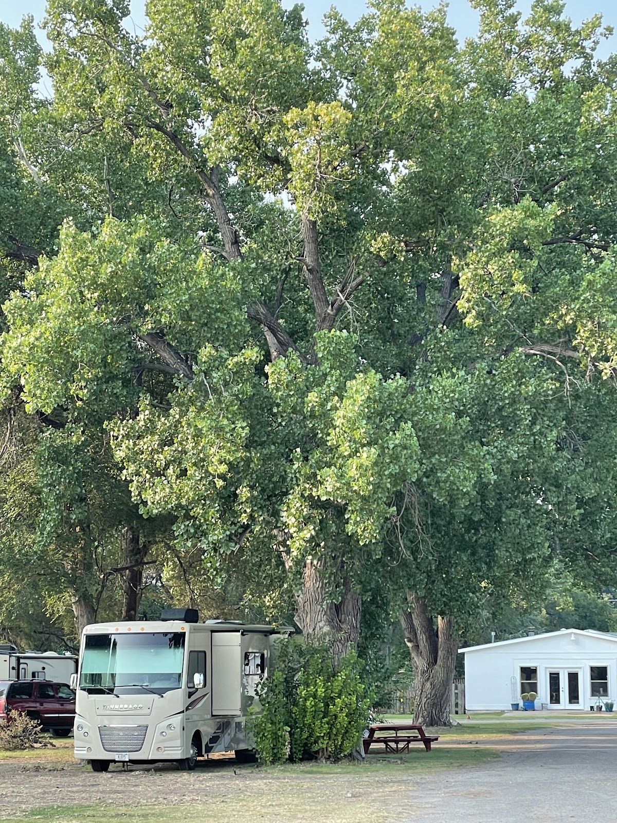 Ramblin Rose RV Park and Motel