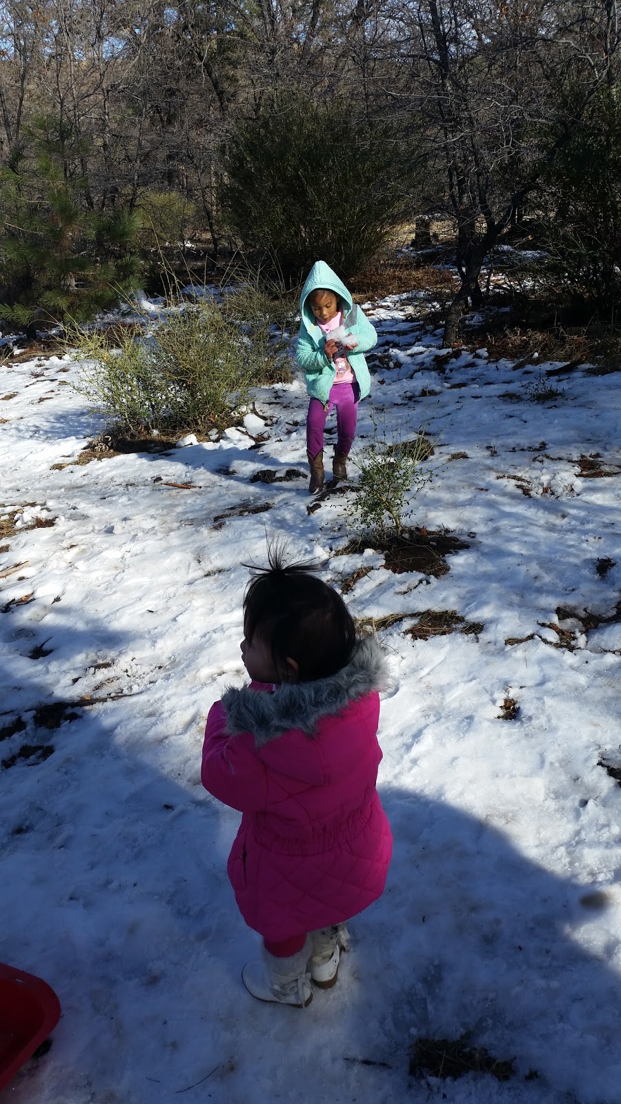 Horse Heaven Group Campground