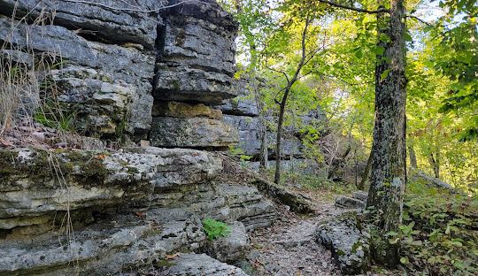 Hobbs State Park-Conservation Area