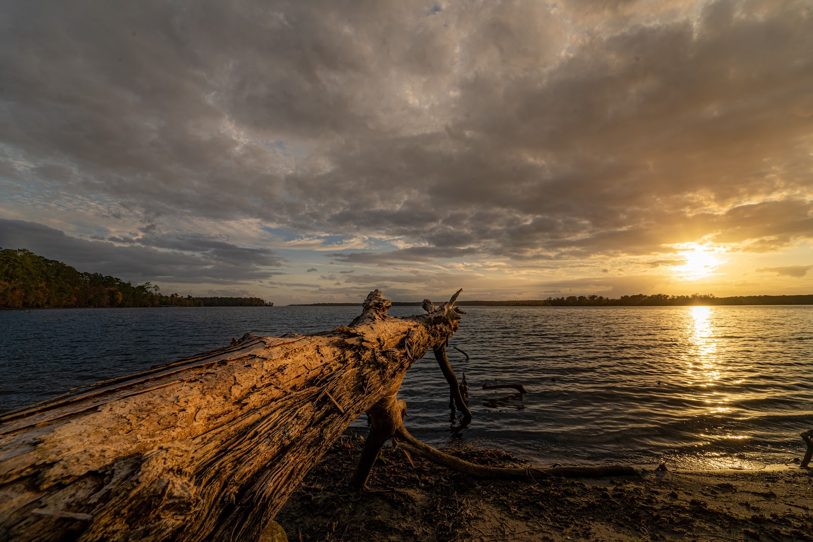 Cagle Recreation Area